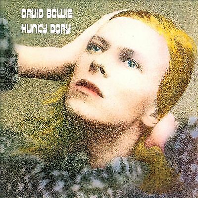 David Bowie : Hunky Dory (2015 Remaster) CD Pre-Owned