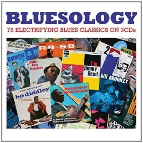 Various Artists : Bluesology CD Pre-Owned