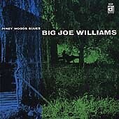 Big Joe Williams : Piney Woods Blues CD (1999) Pre-Owned