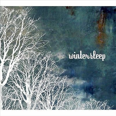 Wintersleep : Wintersleep CD (2009) Pre-Owned