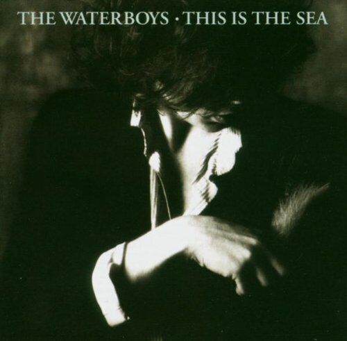 Waterboys, The : This Is the Sea CD Pre-Owned