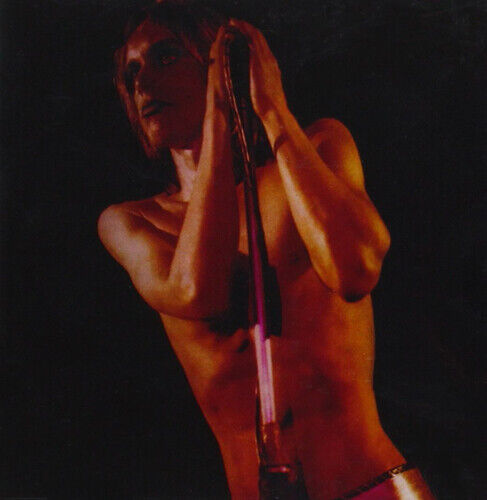 Iggy and the Stooges : Raw Power CD 2 discs (2016) Pre-Owned