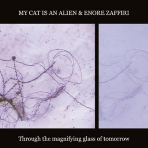 My Cat is an Alien/Enore Zaffiri : Through the Magnifying Glass of Tomorrow CD Region 2 Brand New My Cat is an Alien/Enore Zaffiri : Through the Magnifying Glass of Tomorrow CD Region 2 Brand New
