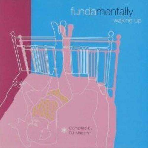 Various Artists : Fundamentally Waking Up CD Pre-Owned