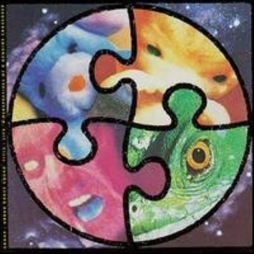 Urban Dance Squad : Life N Perspectives CD Pre-Owned