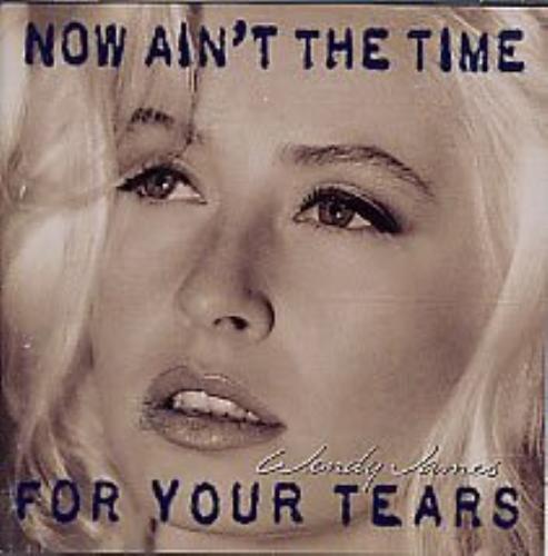 Wendy James : Now aint the time for your tears (1993) CD Pre-Owned