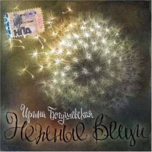 Irina Bogushevskaya : Gentle Things CD Pre-Owned