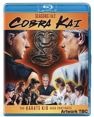 Cobra Kai: Season 1 & 2 Blu-ray (2020) Ralph Macchio cert 15 2 discs Brand New