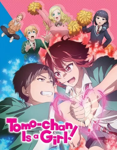 Tomo-chan Is a Girl!: The Complete Season DVD (2024) Hitoshi Nanba cert 12 4 Brand New