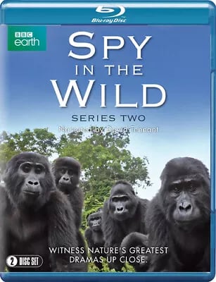 Spy in the Wild: Sæson 2 [E] Blu-ray
