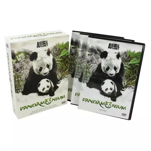 Pandamonium 2013 DVD Region 2 Brand New