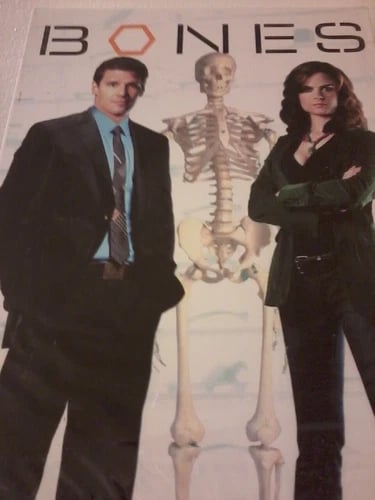 BONES Season One DVD US Import, Region 1 USA NTSC  Brand New