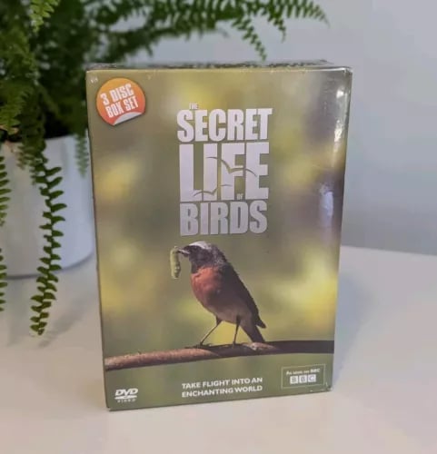 Secret Life Of Birds - 3x DVD Box Set. BBC Wildlife DVD's. Region 2 Brand New