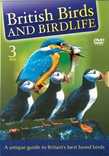 BRITISH BIRDS AND BIRDLIFE VOLUMES 1, 2 & 3 DVD BOX SET - Region 2 Brand New