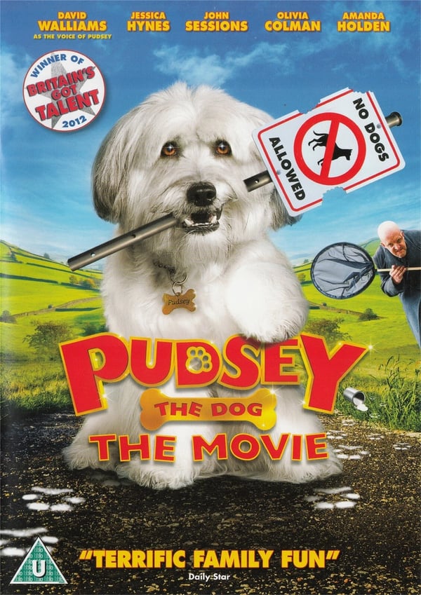 Pudsey The Dog The Movie - David Walliams, Jessica Hynes - Region 2 DVD Brand New