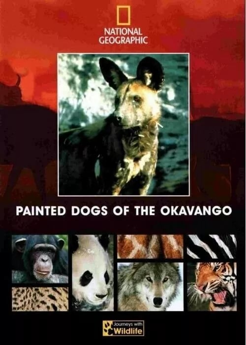 Painted Dogs of the Okavango DVD - National Geographic Dokumentar (1986)