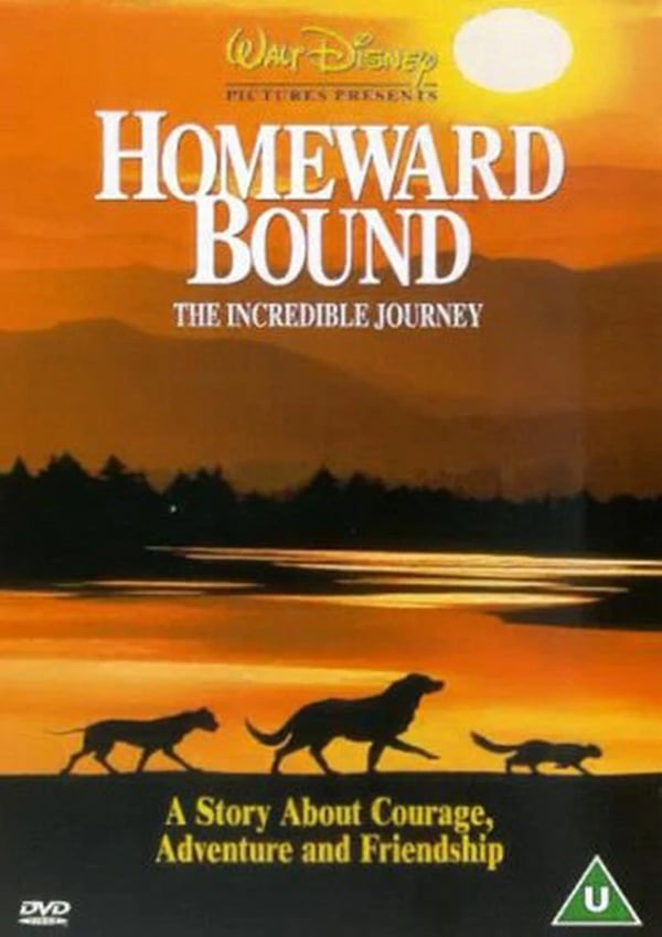 Homeward Bound: The Incredible Journey - DVD (2001)