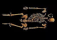 Richard III - The King In The Carpark / Richard III - The Unseen Story (DVD,... Brand New