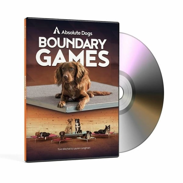Boundary Games Dog Training DVD Special Interest (2017) Brand New