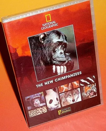 The Chimpanzees DVD - National Geographic Dokumentar (2003)