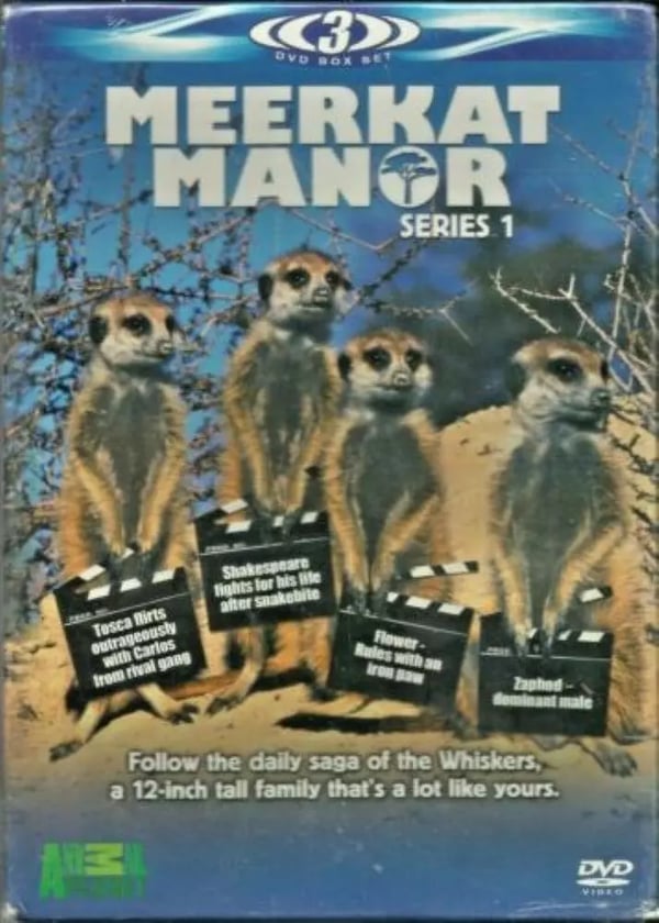 Meerkat Manor DVD (2007) Dokumentär om Surikater