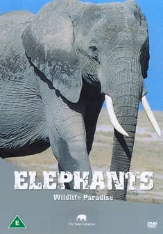 Safari: Elephants [DVD] – Dokumentar om Elefanter