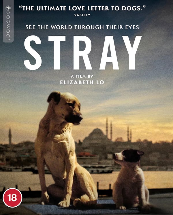 Stray [18] Blu-ray Brand New
