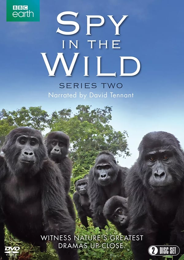 Spy in the Wild: Sæson 2 [E] DVD