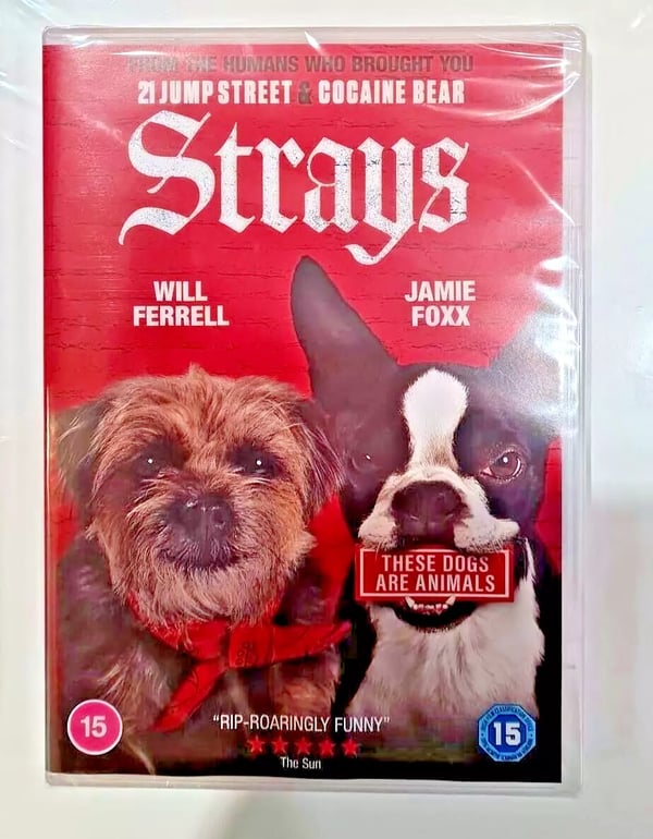 STRAYS DVD Brand New
