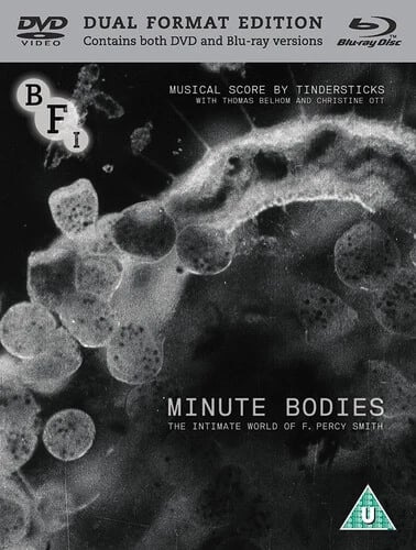 Minute Bodies DVD (2017) Stuart A. Staples, ikäraja U, 2 levyä Minute Bodies DVD (2017) Stuart A. Staples, ikäraja U, 2 levyä