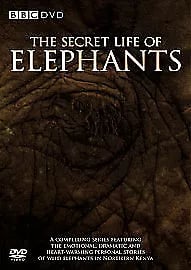 The Secret Life of Elephants [DVD] Brand New