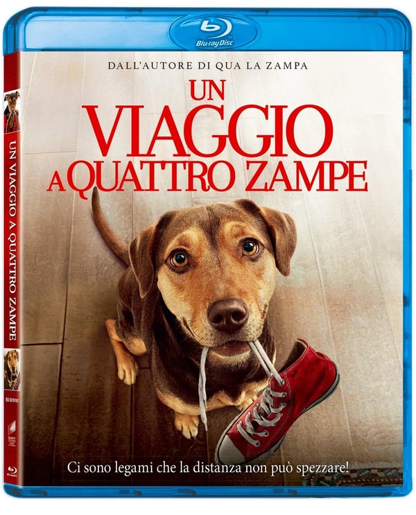 Un Viaggio a Quattro Zampe (Bluray) Brand New