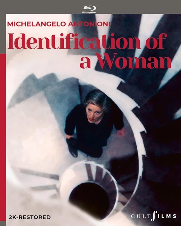 IDENTIFICATION OF A WOMAN BLURAY Tomas Milian Daniela Silverio Movie Film Brand New