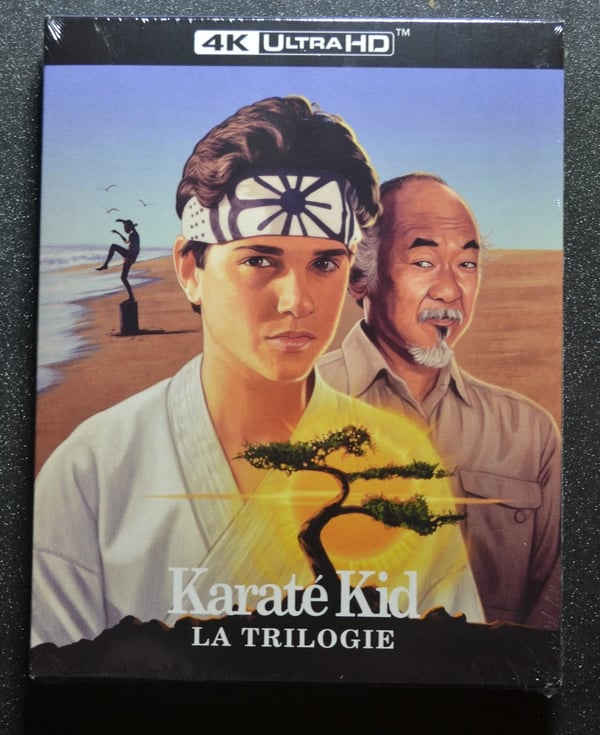 EU Edition 4K The Karate Kid Trilogy 4K Boxset Brand New
