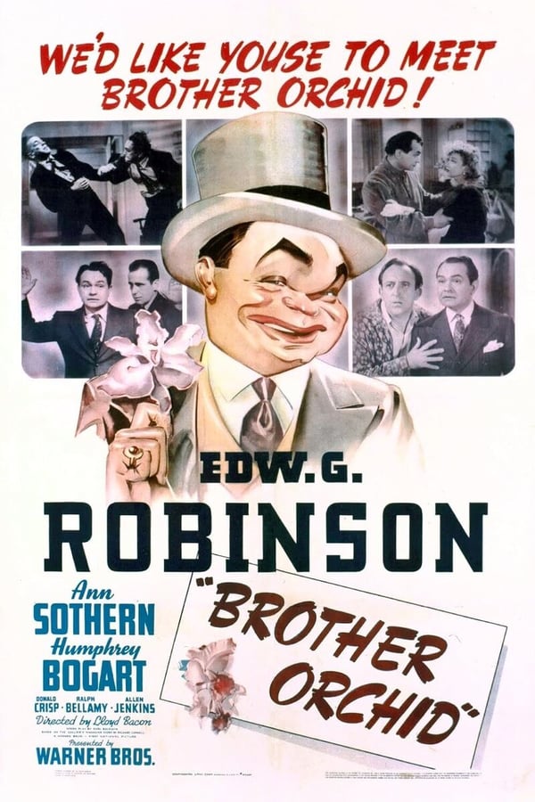 Brother Orchid (1940) - Gangsterkomedie DVD