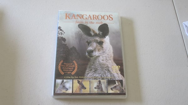 Kangaroos: Faces in the Mob - Dokumentar DVD