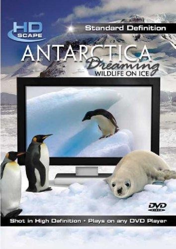 Antarctica Dreaming: Dyreliv På Is - DVD (2007)