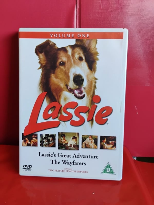 Lassie: Suuri seikkailu kulkijat osa 1 (DVD)