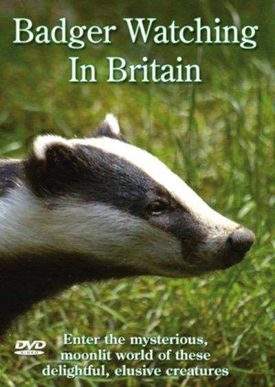 Badger Watching in Britain cert E DVD (2007)