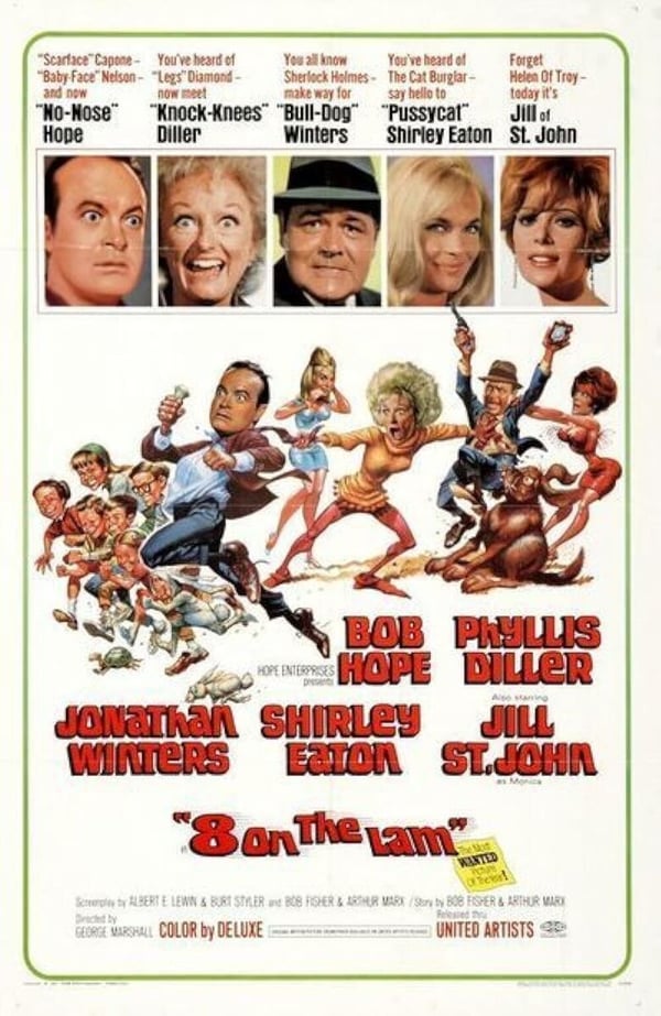EIGHT ON THE LAM DVD (1967)