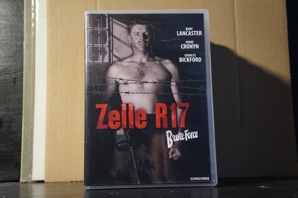 Zelle R17 - Brute Force DVD