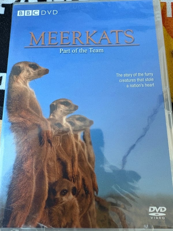 BBC Meerkats: En del af holdet DVD