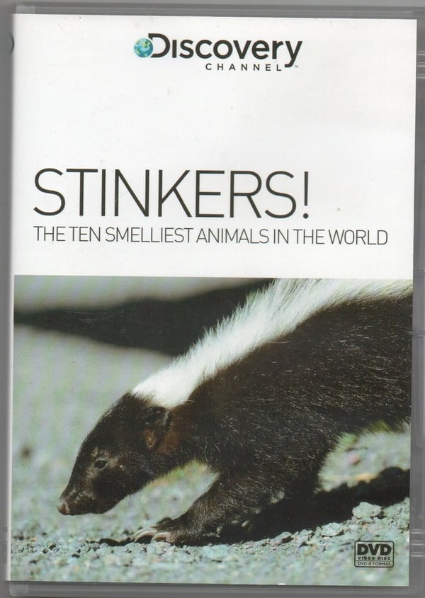 Stinkers! The Ten Smelliest Animals In The World - Discovery DVD