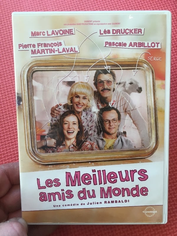 Les Meilleurs Amis Du Monde - Marc Lavoine DVD
