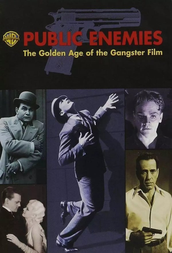 Public Enemies: Gangsterfilmens Gullalder - DVD