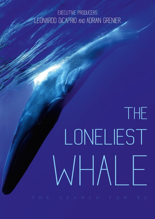 The Loneliest Whale: Jakten på 52 (Dokumentar) DVD
