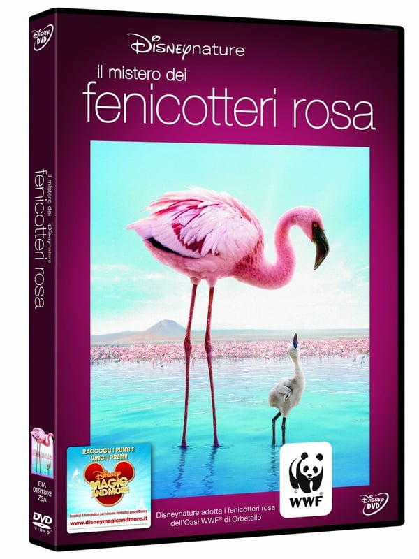 Il Mistero Dei Fenicotteri Rosa - Leander Ward (DVD)