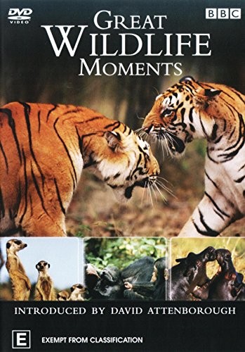 Great Wildlife Moments DVD (Ei UK-formaatti)