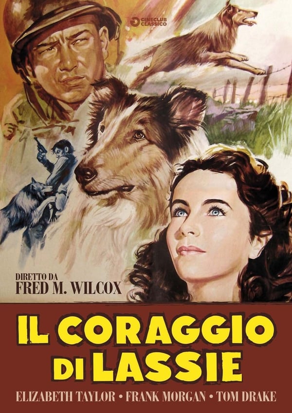 Il Coraggio Di Lassie DVD - Elizabeth Taylor