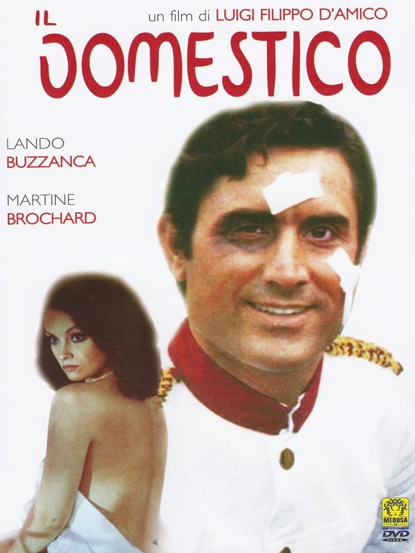 Il Domestico (Hushjelpen) – Italiensk komedie DVD